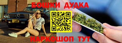 индика Мариинск